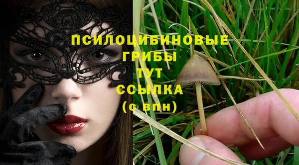 mdpv Балахна