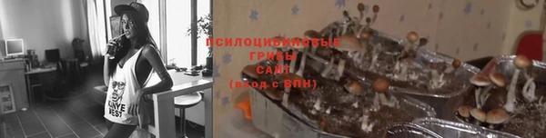 мяу мяу мука Баксан